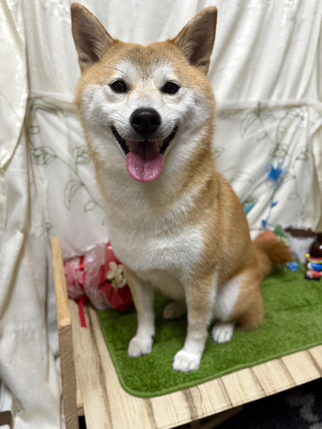 ゆず