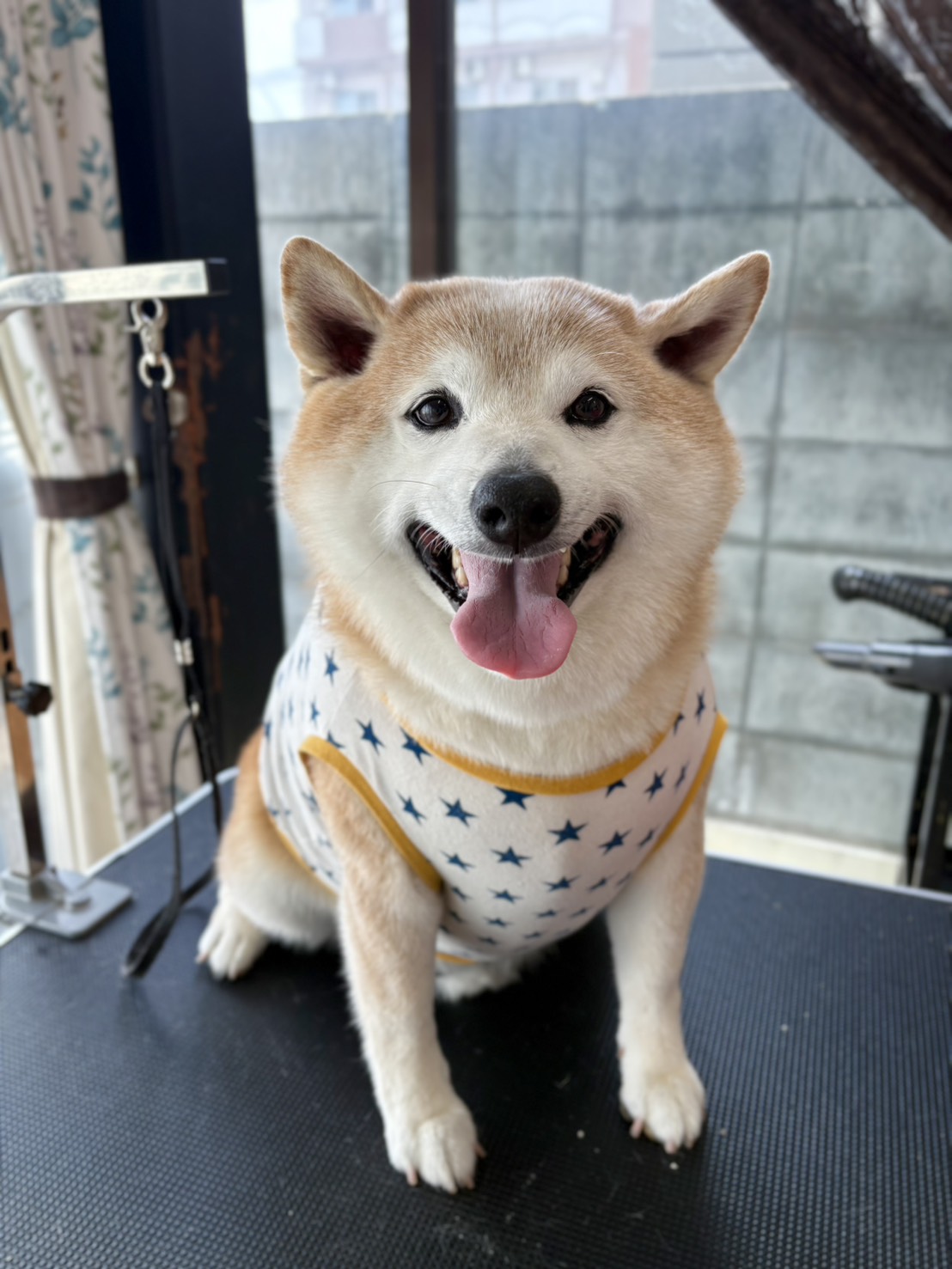 もものすけ