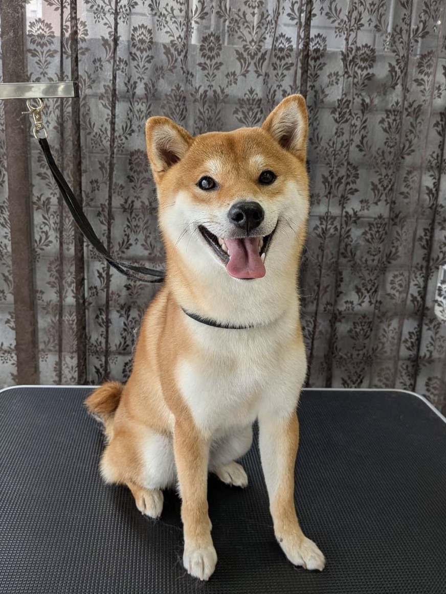 まる
