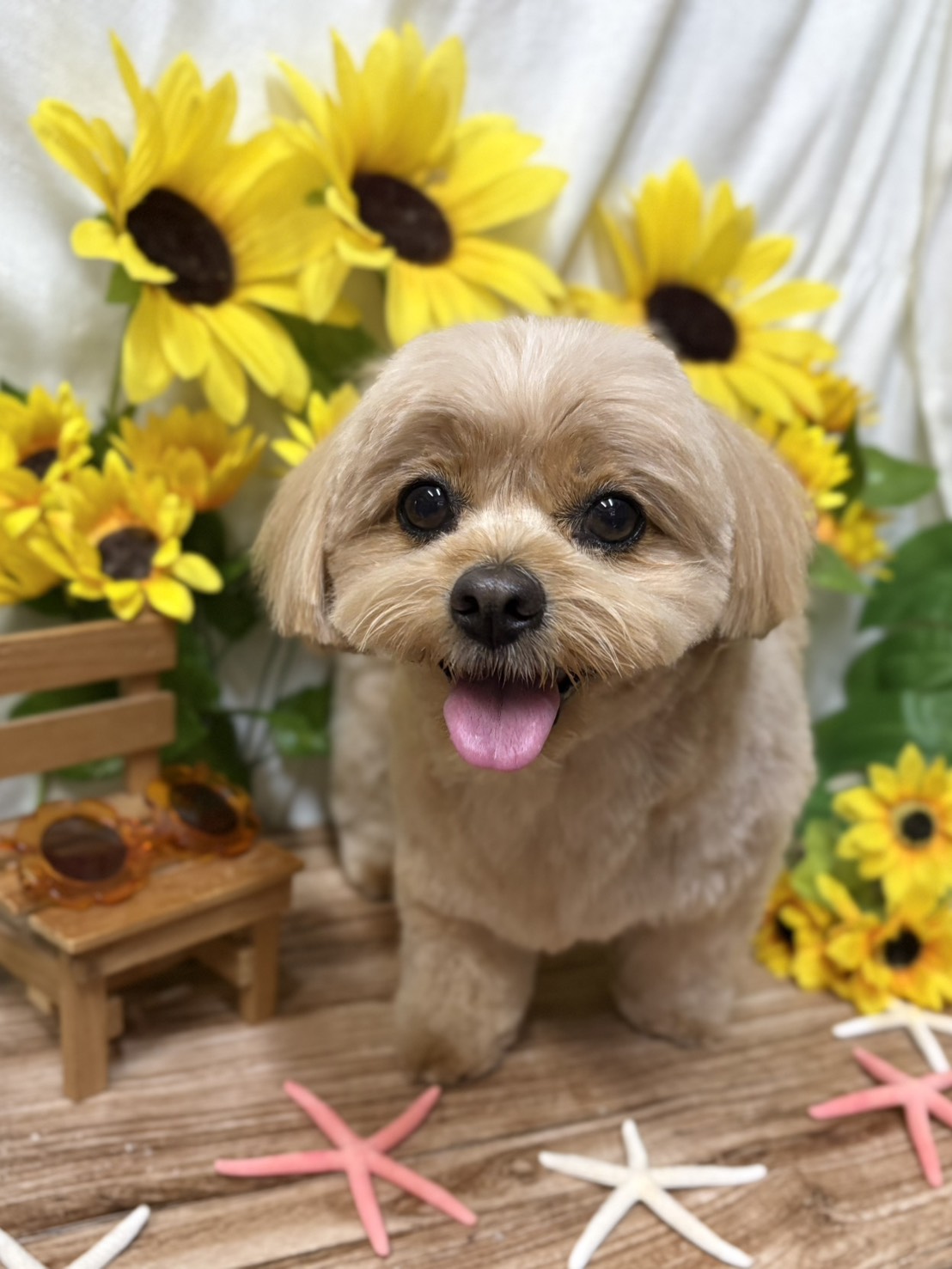 はなまる